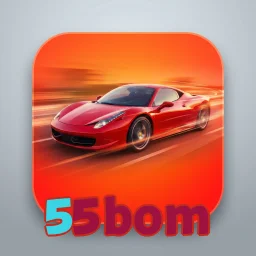 55bom